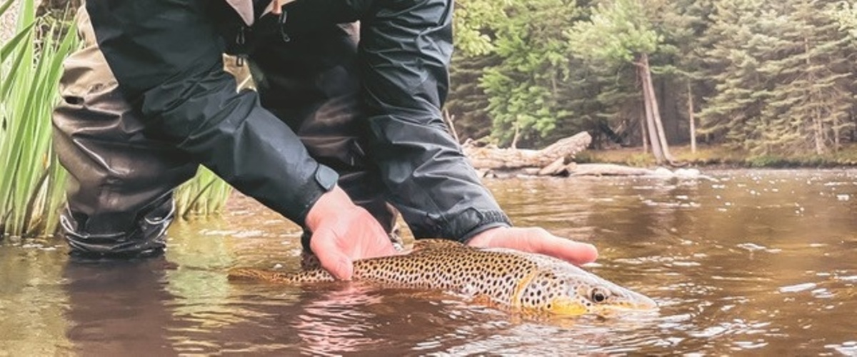 A World Class River - The Au Sable